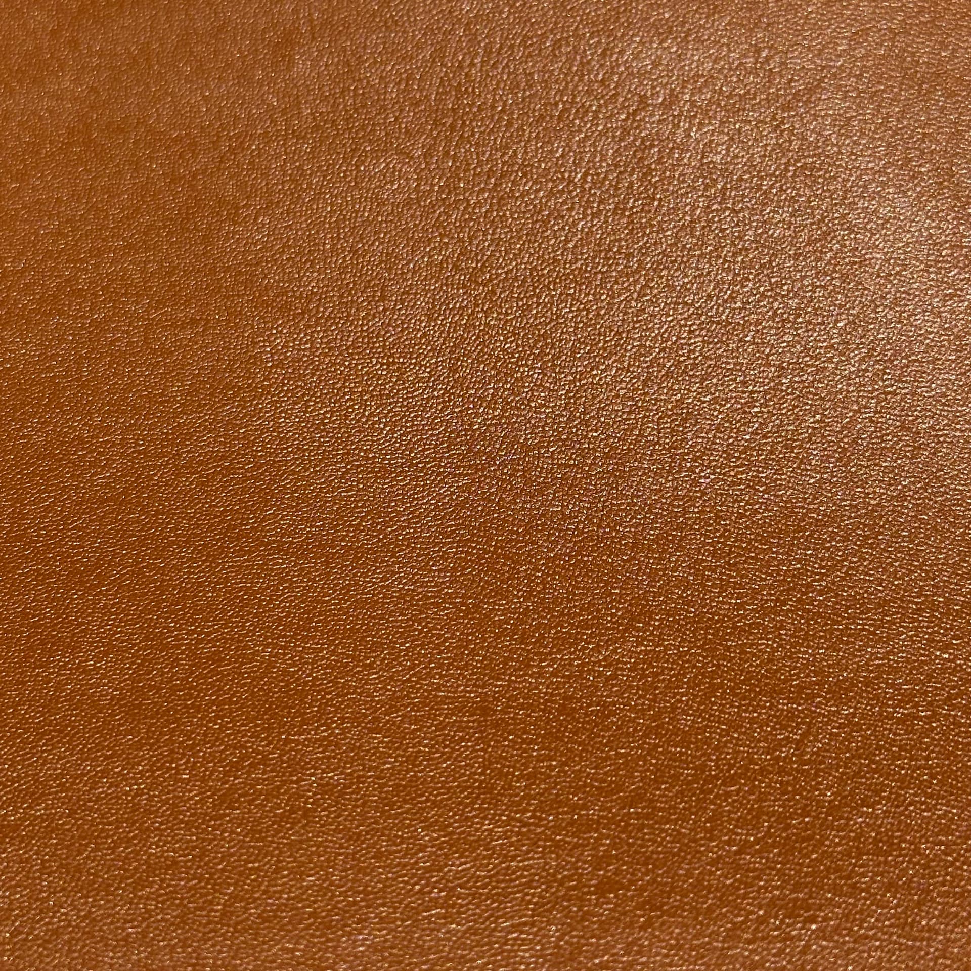 Desserto | Cactus-based Fabric, Ferrero in Freeport Texture