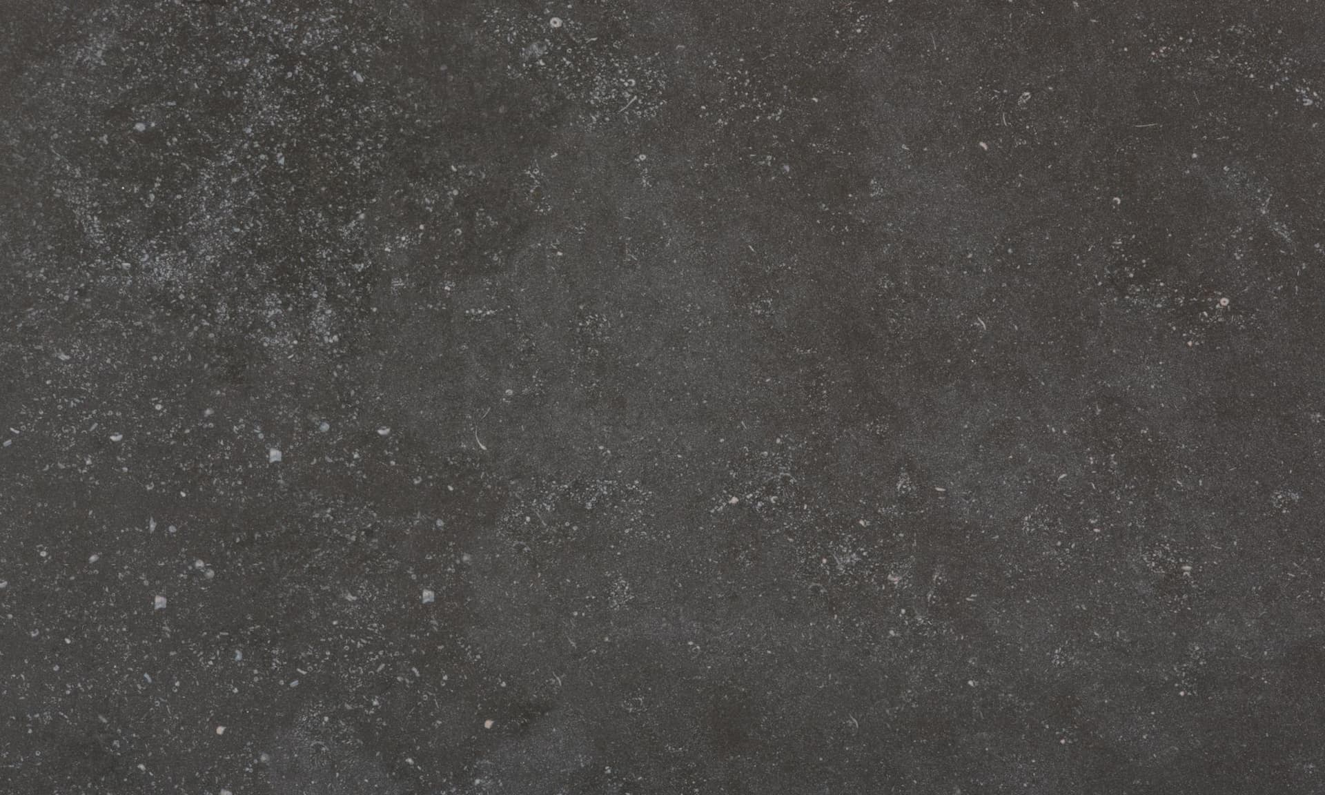 Dekton FOSSIL Matte 126x57 in