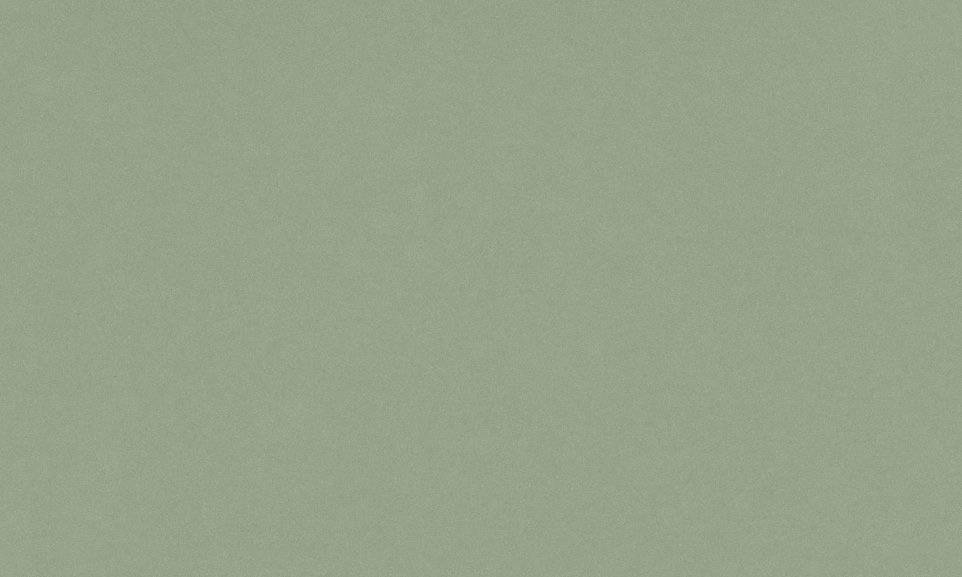 Silestone POSIDONIA GREEN Sle 120x55 in