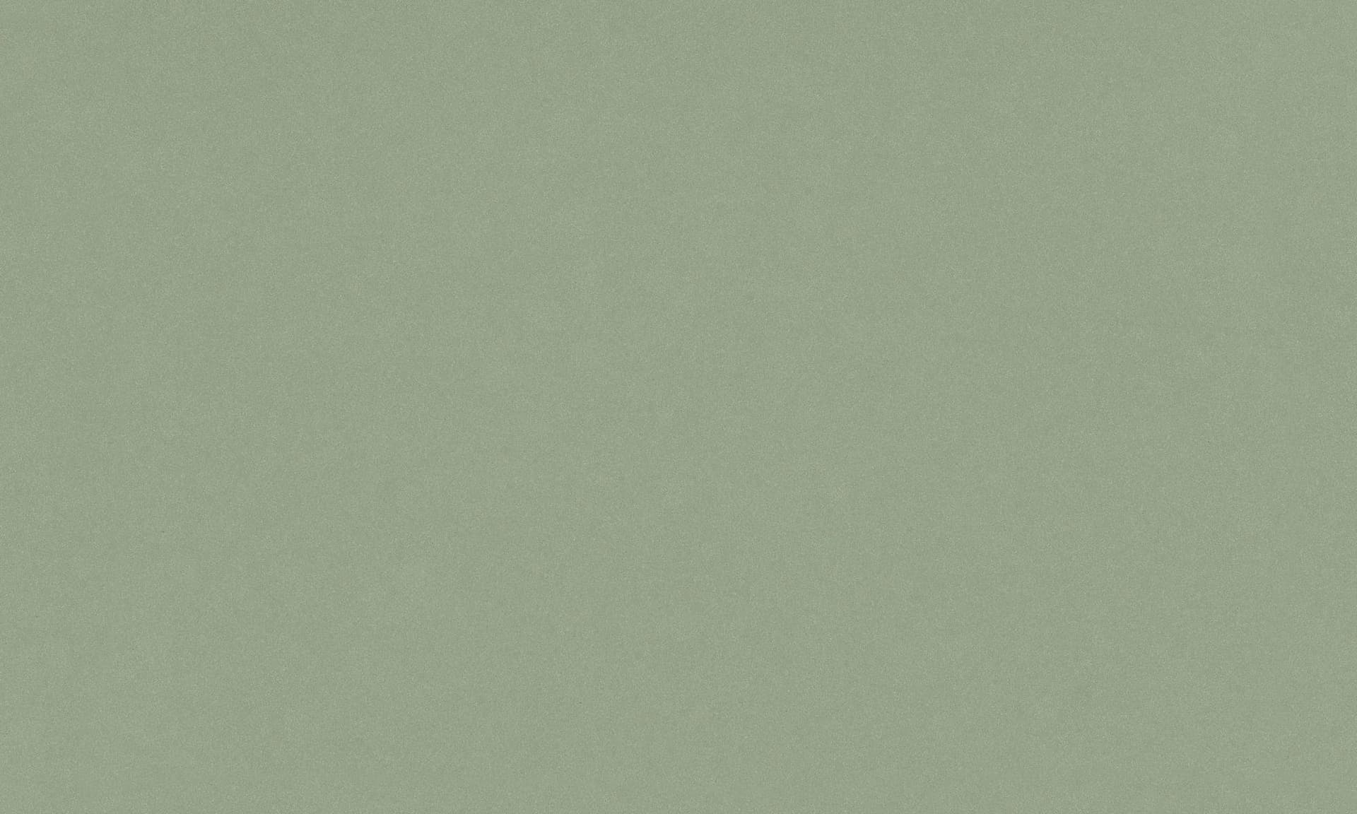 Silestone POSIDONIA GREEN Sle 120x55 in