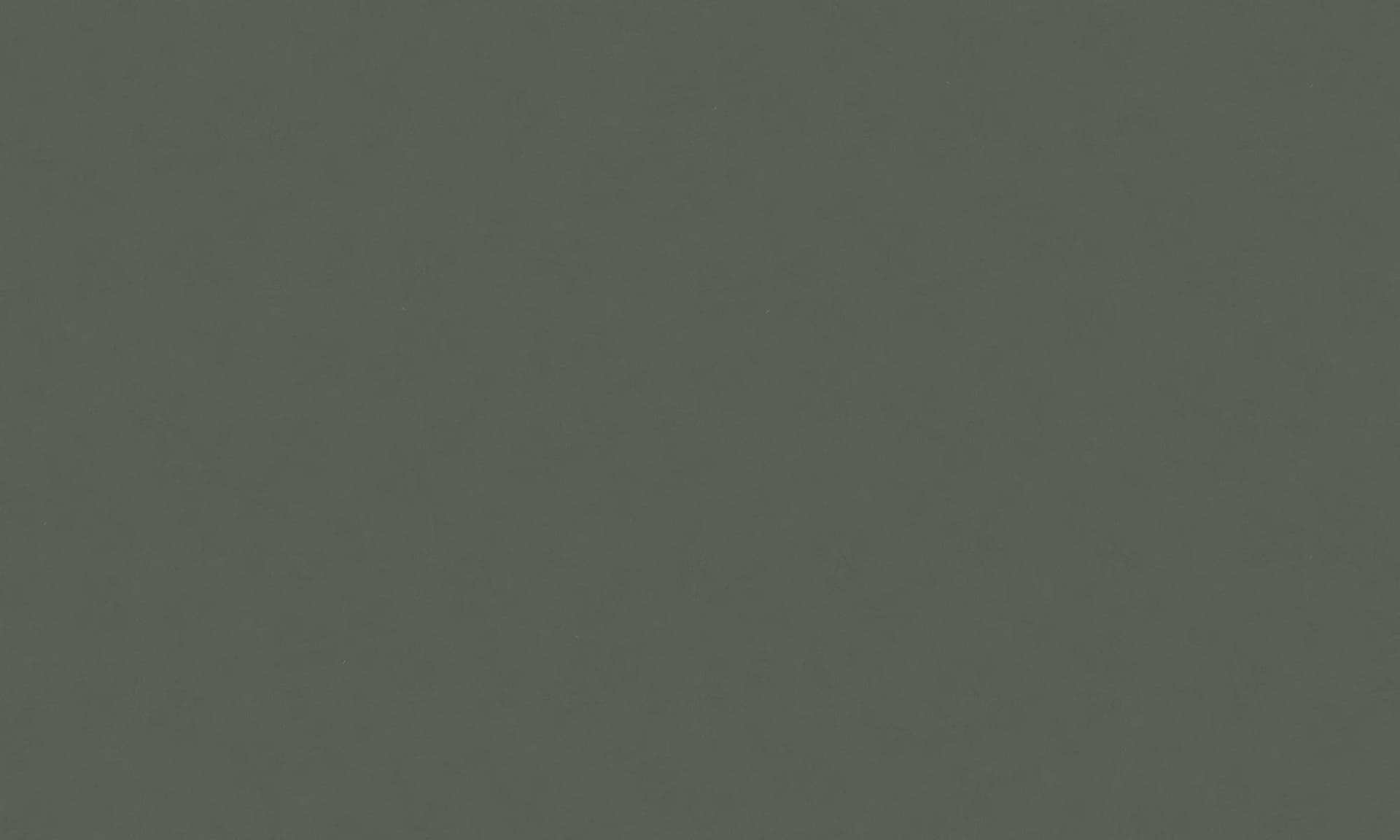 Silestone CEMENTO SPA Sle 120x55 in